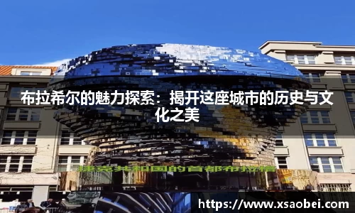 布拉希尔的魅力探索：揭开这座城市的历史与文化之美
